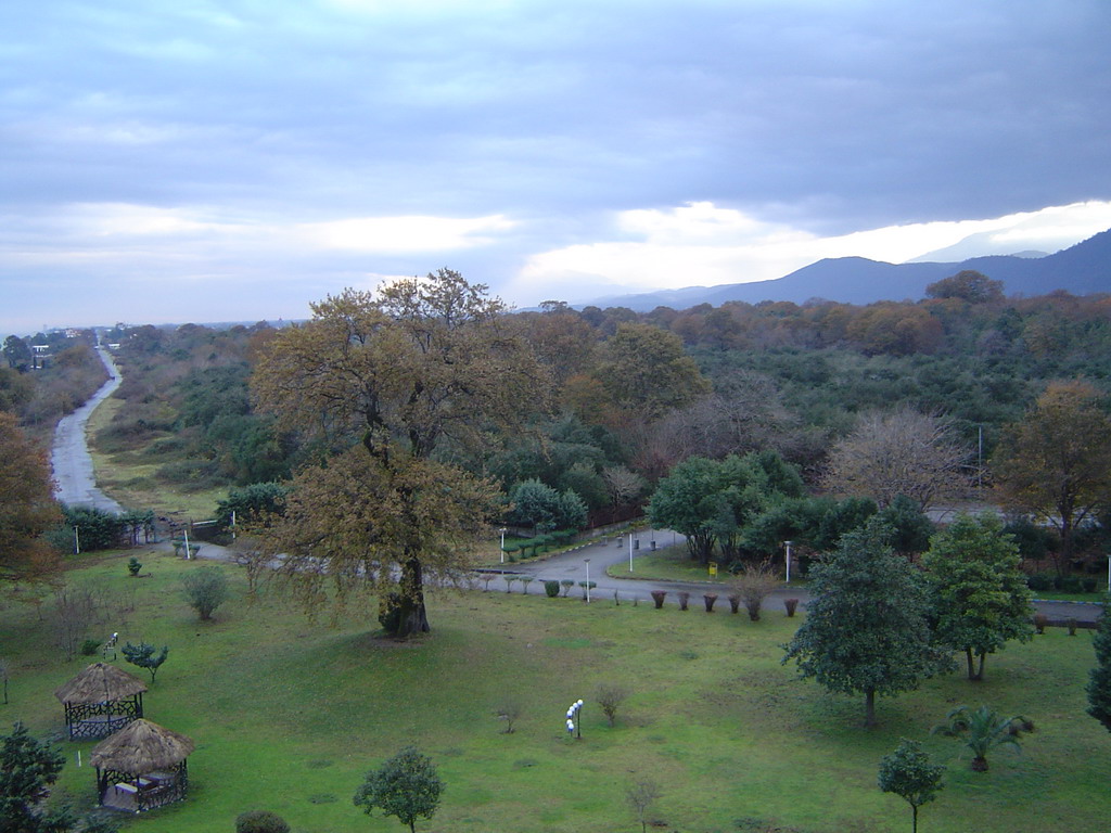 پشتیبانی شبکه در چالوس